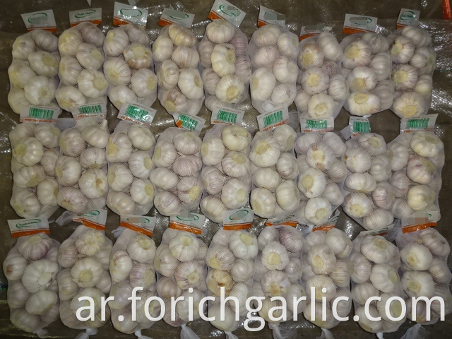 5 0cm Fresh Normal White Garlic